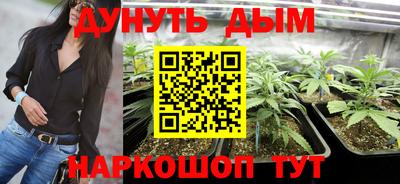 сатива Кумертау