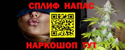стаф Кунгур