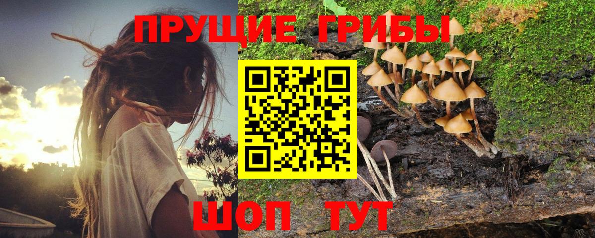 Галлюциногенные грибы прущие грибы  Вход с VPN  Галлюциногенные грибы Psilocybe  Воткинск 
